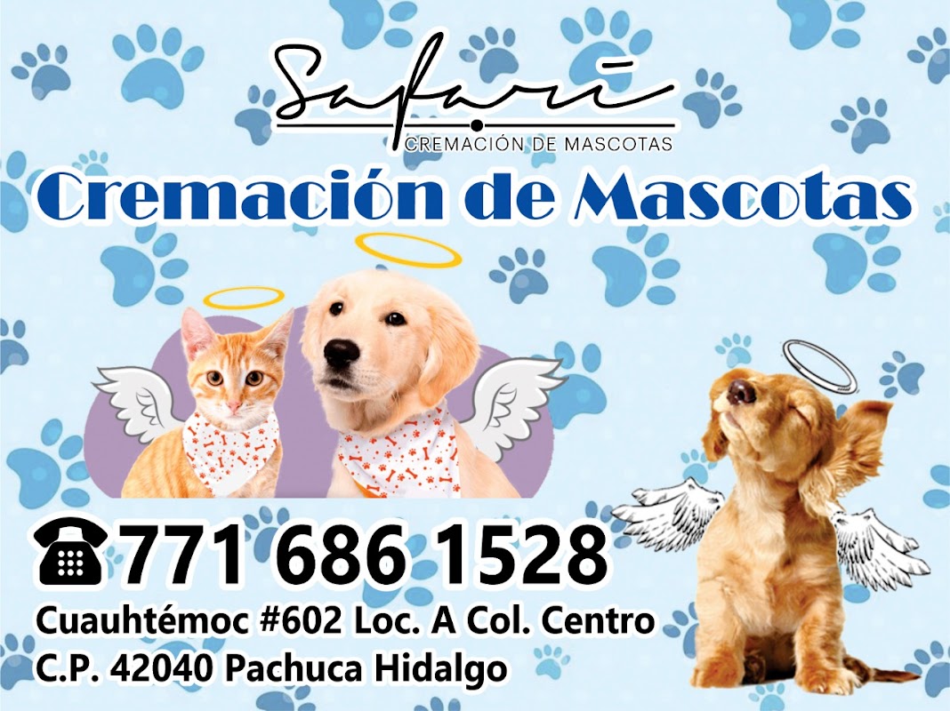 Funeraria Funeraria Safari Pachuca